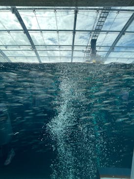 環境水族館アクアマリンふくしまに投稿された画像（2023/8/18）