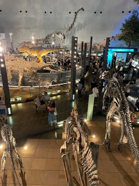 福井県立恐竜博物館に投稿された画像（2023/8/18）