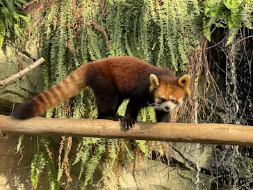 神戸どうぶつ王国に投稿された画像（2023/8/18）
