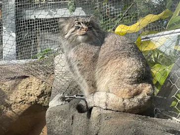 神戸どうぶつ王国に投稿された画像（2023/8/18）