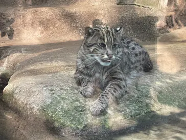 神戸どうぶつ王国に投稿された画像（2023/8/18）