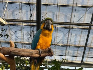 神戸どうぶつ王国に投稿された画像（2023/8/18）