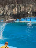 名古屋港水族館に投稿された画像（2023/8/19）