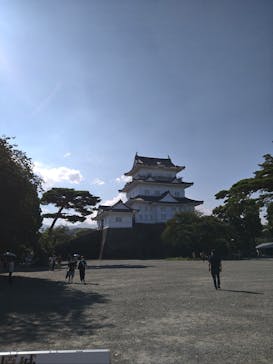 小田原城に投稿された画像（2023/8/18）