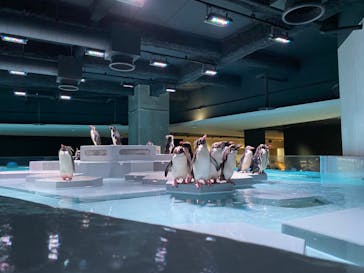 AOAO SAPPOROに投稿された画像（2023/8/19）