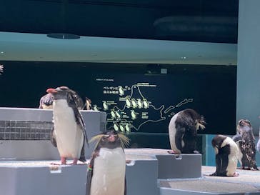 AOAO SAPPOROに投稿された画像（2023/8/19）