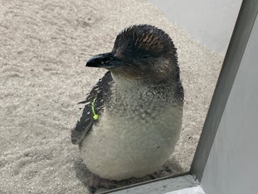 AOAO SAPPOROに投稿された画像（2023/8/19）