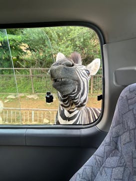 東北サファリパークに投稿された画像（2023/8/19）