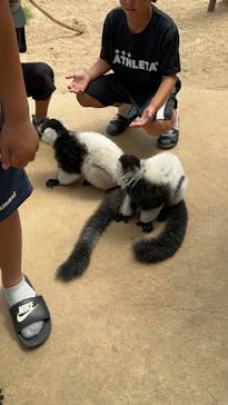 東北サファリパークに投稿された画像（2023/8/19）