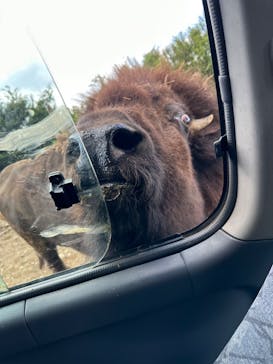 東北サファリパークに投稿された画像（2023/8/19）