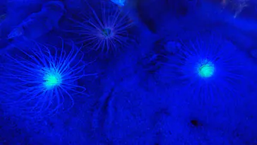 仙台うみの杜水族館に投稿された画像（2023/8/19）