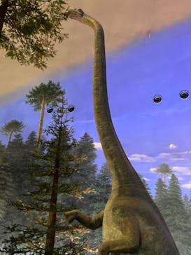 福井県立恐竜博物館に投稿された画像（2023/8/19）