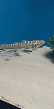 アクアワールド茨城県大洗水族館に投稿された画像（2023/8/19）