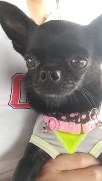 DivingService SUNNY SUNNY（ダイビングサービスサニーサニー）に投稿された画像（2023/8/19）