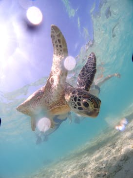 CHAMP TOUR　宮古島に投稿された画像（2023/8/19）