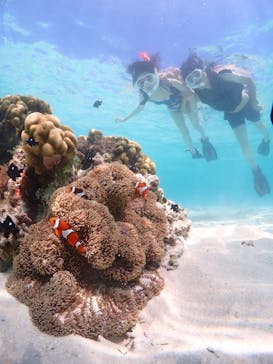 CHAMP TOUR　宮古島に投稿された画像（2023/8/19）