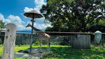 群馬サファリパークに投稿された画像（2023/8/19）