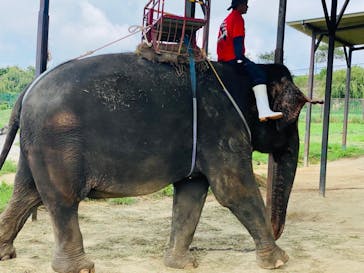 岩手サファリパークに投稿された画像（2023/8/19）