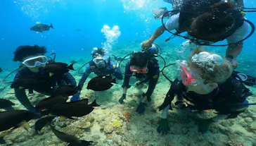 武藤潜水に投稿された画像（2023/8/19）