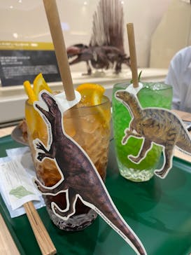 福井県立恐竜博物館に投稿された画像（2023/8/19）
