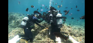 武藤潜水に投稿された画像（2023/8/19）