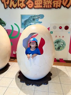 御菓子御殿　名護店　やんばる亜熱帯の森DINO恐竜PARKに投稿された画像（2023/8/19）