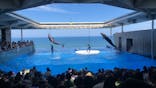 上越市立水族博物館 うみがたりに投稿された画像（2023/8/19）