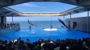 上越市立水族博物館 うみがたりに投稿された画像（2023/8/19）