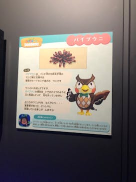 上越市立水族博物館 うみがたりに投稿された画像（2023/8/19）