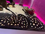 サンシャイン水族館に投稿された画像（2023/8/19）