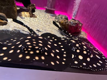 サンシャイン水族館に投稿された画像（2023/8/19）