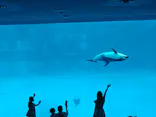 名古屋港水族館に投稿された画像（2023/8/19）