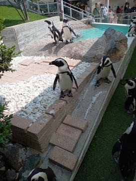 マリンワールド海の中道に投稿された画像（2023/8/19）