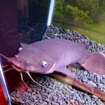 ぶっとんでるいきもの展に投稿された画像（2023/8/19）