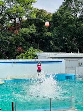 しながわ水族館に投稿された画像（2023/8/19）