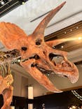 DinoScience 恐竜科学博 2023@TOKYO MIDTOWNに投稿された画像（2023/8/19）