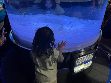 マリンワールド海の中道に投稿された画像（2023/8/19）