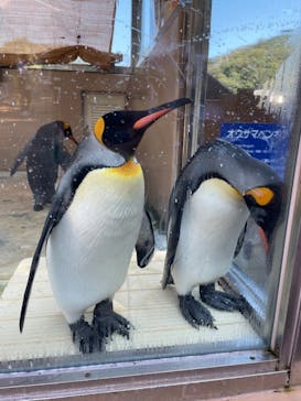下田海中水族館に投稿された画像（2023/8/19）