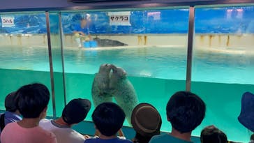 下田海中水族館に投稿された画像（2023/8/19）