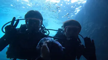 武藤潜水に投稿された画像（2023/8/19）