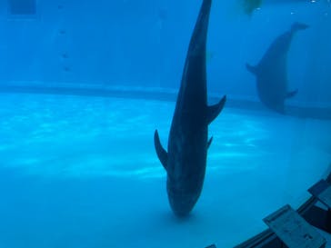 マリンワールド海の中道に投稿された画像（2023/8/19）