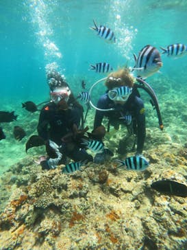 沖縄マリンサービス碧に投稿された画像（2023/8/19）