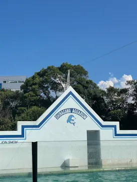 すみだ水族館に投稿された画像（2023/8/19）