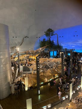 福井県立恐竜博物館に投稿された画像（2023/8/19）