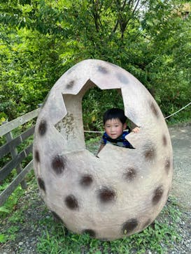 福井県立恐竜博物館に投稿された画像（2023/8/19）