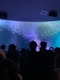 名古屋港水族館に投稿された画像（2023/8/19）