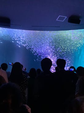 名古屋港水族館に投稿された画像（2023/8/19）