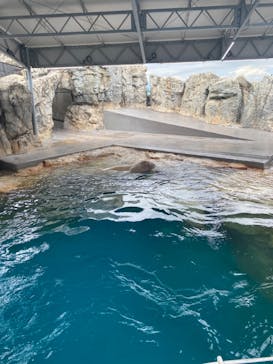 大分マリーンパレス水族館 「うみたまご」に投稿された画像（2023/8/19）