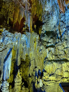 あぶくま洞に投稿された画像（2023/8/19）