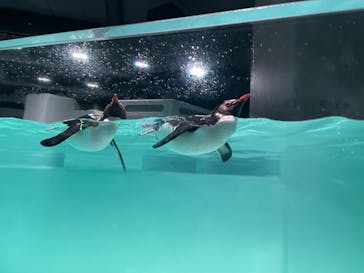 AOAO SAPPOROに投稿された画像（2023/8/19）